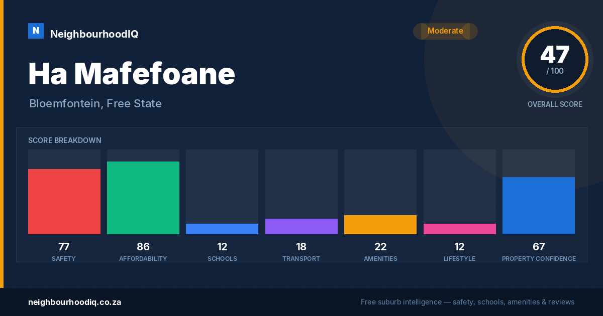 Ha Mafefoane report card