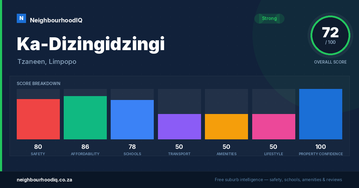 Ka-Dizingidzingi report card