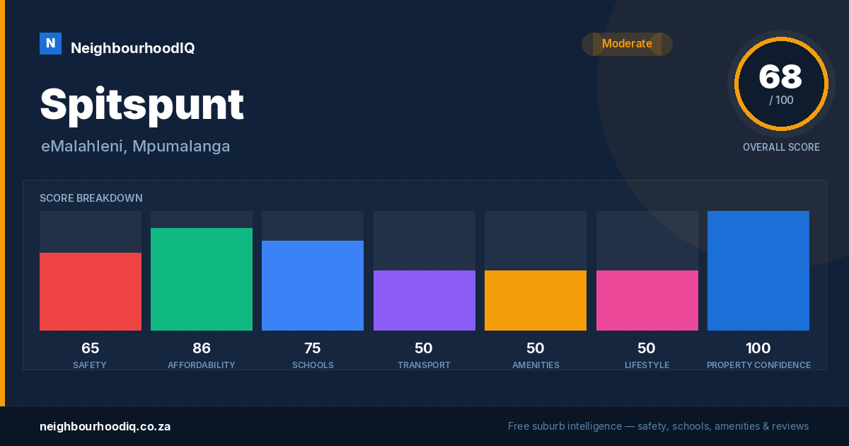 Spitspunt report card