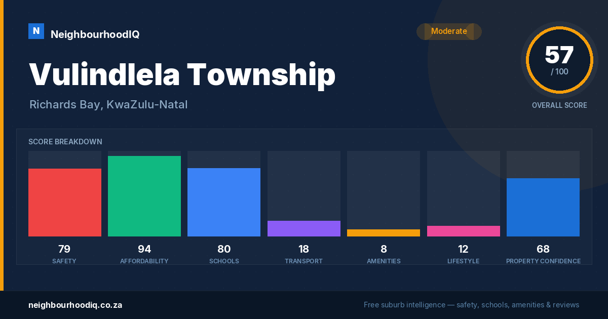 Vulindlela Township report card